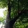 IMG_2022062400012
