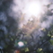 energy flow