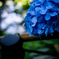 38D7335A-3F48-4731-944D-15B1414A45D0
