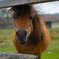 FA4A0359-5953-46CB-AD16-0E0713F7D27A