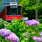 箱根登山電車