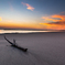 Dawn