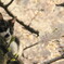 photo_1119405