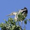 850B012C-0641-4BD4-BC04-37E2150F1360_1_2