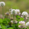 FF8557D7-03D3-418B-B03A-146BF063A4E5
