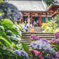 矢田寺6