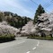山道。