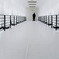 White　Corridor