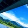 PXL_20220709_074330778