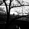 4CA163DB-F603-4B15-A6A6-6CEEF9DC8086