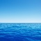 海
