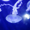 F35226A0-3C2C-4A47-B197-7F9F193CAE53