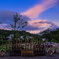 竹灯りと夕焼け空
