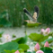 雨