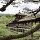 泰平閣（橋殿） ２