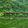 山の釣り橋