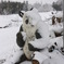 野生のパンダ