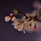 夜桜Ⅱ