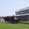 夏の函館競馬 ①