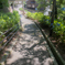 小さな神社の参道