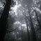 R0000917