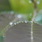 雨あがりにて