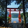 箱根神社 鳥居