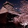 城と桜と月