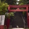 愛宕神社 出世の石段
