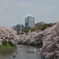 千鳥が淵