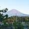 ブルーベリーと富士山