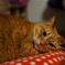 SIGUMA　Art　３０ｍｍＦ1.4画角練習中