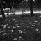 宜野湾市、森川公園にて。