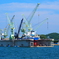 入渠中