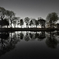 In the midnight park