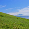 礼文島からの利尻富士
