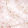 ふわーっと桜
