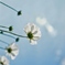 58A45D91-D70A-4476-B231-571E331F370E