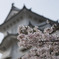 姫路城