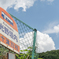 田舎の夏