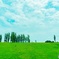 長岡市　丘陵公園の丘