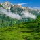 夏山
