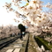 道