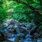 早朝の清流