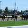 初！競馬場！