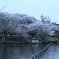 IMG_0272 (1920x1280)
