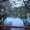 IMG_0276 (1920x1280)