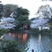 IMG_0284 (1920x1280)