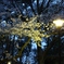 IMG_0287 (1920x1280)
