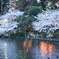 IMG_0294 (1920x1280)